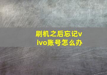 刷机之后忘记vivo账号怎么办