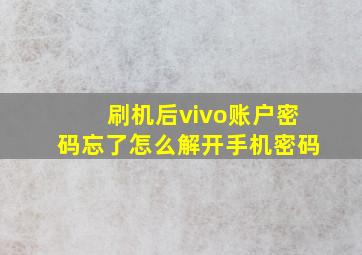 刷机后vivo账户密码忘了怎么解开手机密码