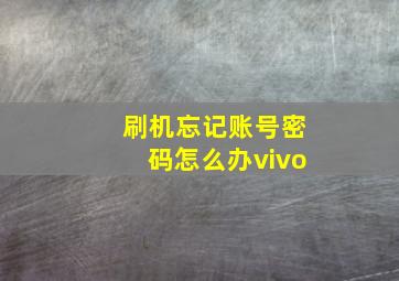 刷机忘记账号密码怎么办vivo