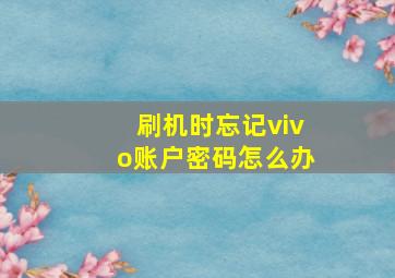 刷机时忘记vivo账户密码怎么办