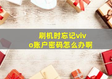 刷机时忘记vivo账户密码怎么办啊