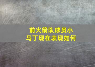 前火箭队球员小马丁现在表现如何