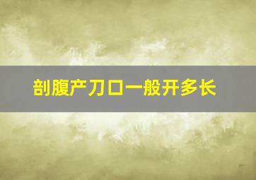 剖腹产刀口一般开多长