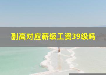 副高对应薪级工资39级吗