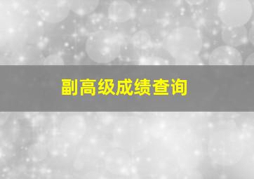 副高级成绩查询