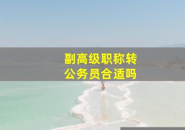 副高级职称转公务员合适吗