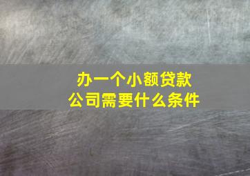 办一个小额贷款公司需要什么条件