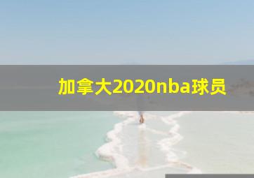 加拿大2020nba球员