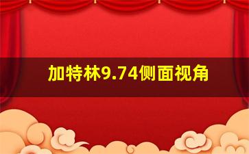 加特林9.74侧面视角