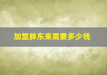 加盟胖东来需要多少钱