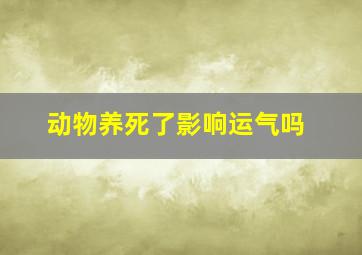 动物养死了影响运气吗