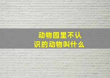 动物园里不认识的动物叫什么