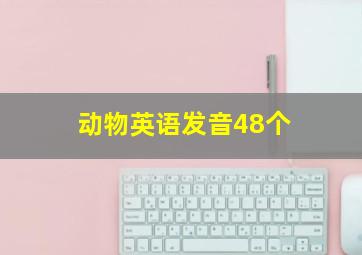 动物英语发音48个