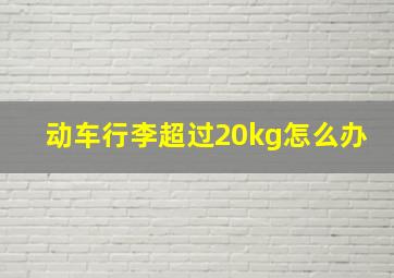 动车行李超过20kg怎么办