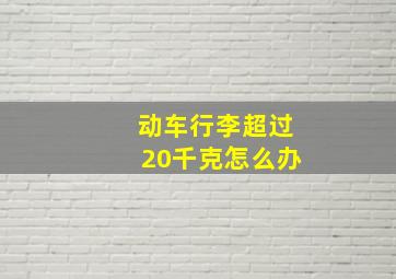 动车行李超过20千克怎么办