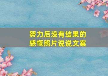 努力后没有结果的感慨照片说说文案