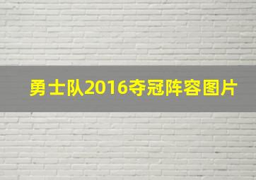 勇士队2016夺冠阵容图片