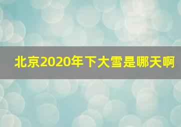 北京2020年下大雪是哪天啊