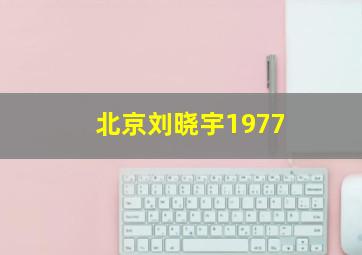 北京刘晓宇1977