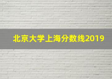 北京大学上海分数线2019