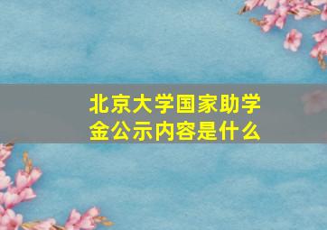 北京大学国家助学金公示内容是什么