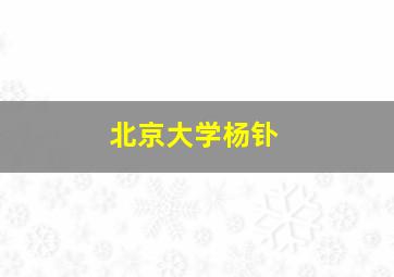 北京大学杨钋