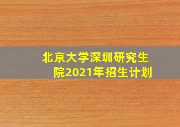 北京大学深圳研究生院2021年招生计划