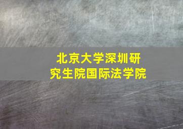 北京大学深圳研究生院国际法学院