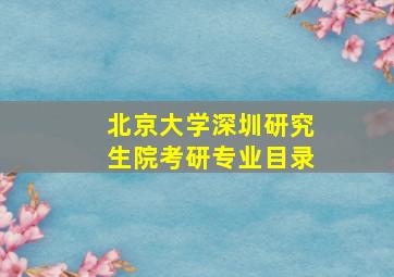 北京大学深圳研究生院考研专业目录