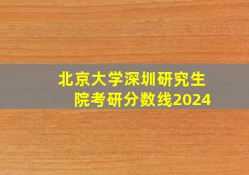 北京大学深圳研究生院考研分数线2024