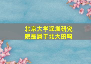 北京大学深圳研究院是属于北大的吗