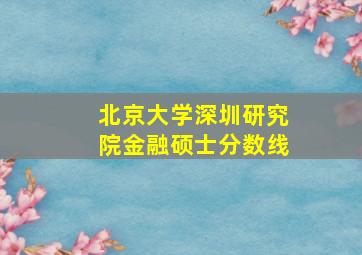 北京大学深圳研究院金融硕士分数线