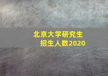 北京大学研究生招生人数2020