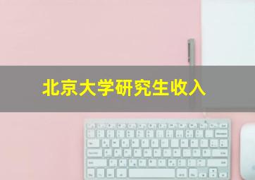 北京大学研究生收入