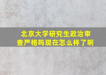 北京大学研究生政治审查严格吗现在怎么样了啊