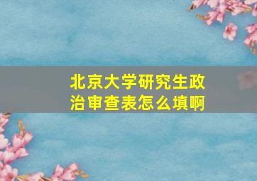 北京大学研究生政治审查表怎么填啊