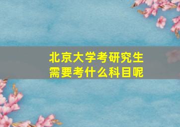 北京大学考研究生需要考什么科目呢