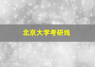 北京大学考研线