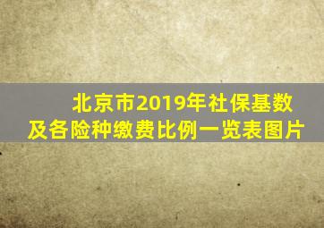 北京市2019年社保基数及各险种缴费比例一览表图片