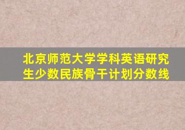 北京师范大学学科英语研究生少数民族骨干计划分数线