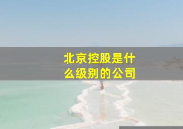 北京控股是什么级别的公司