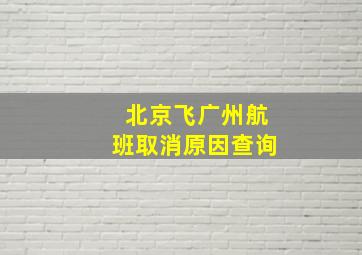 北京飞广州航班取消原因查询