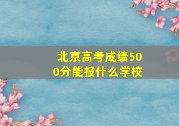 北京高考成绩500分能报什么学校