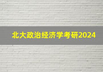 北大政治经济学考研2024