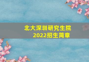 北大深圳研究生院2022招生简章