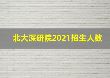 北大深研院2021招生人数