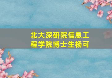 北大深研院信息工程学院博士生杨可