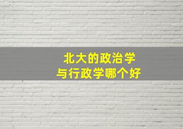 北大的政治学与行政学哪个好