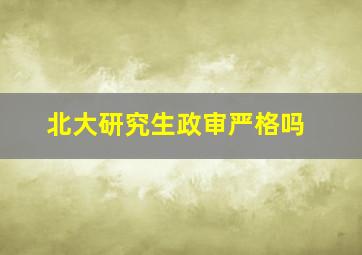 北大研究生政审严格吗