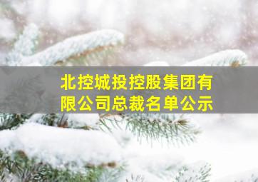 北控城投控股集团有限公司总裁名单公示